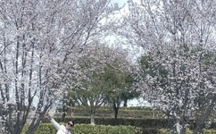 李宗?全集在线播放29集